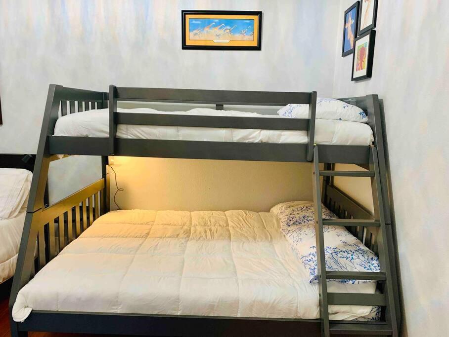 Pershing Place: Historic Home With Heated Spa/Pool By Zoo, Pearl, Golf, Witte 圣安东尼奥 外观 照片